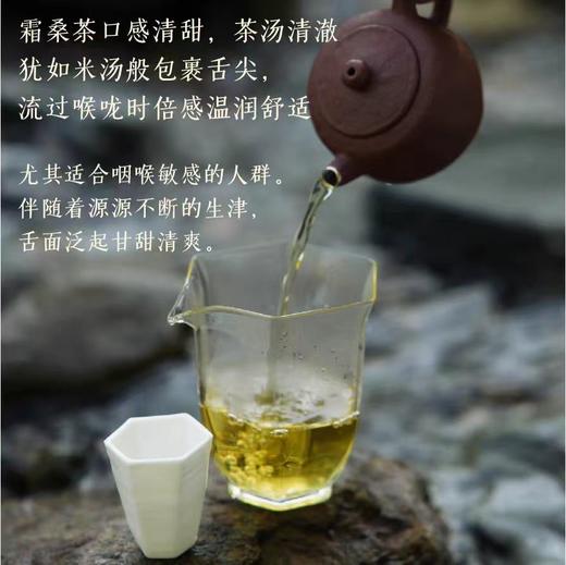 【甄选】黄山特产有机霜桑茶茶汤清澈甘甜清爽入口回甘180g*1罐 商品图3