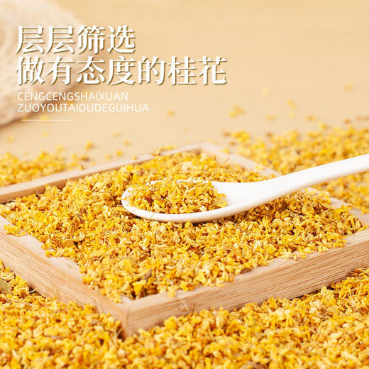 【手工头采❗️正宗桂林金桂花】朵朵饱满清香四溢满口生香，泡茶金桂花干桂花搭配菊花决明子牛蒡茶甜点食用新鲜非特级可食用桂花茶泡水花茶叶泡茶 商品图1