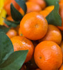 广西西林砂糖橘，高山砂糖橘，核心产区！纯甜，不齁甜，没有甜蜜素，不打蜡，果味非常浓！4斤/份 商品缩略图1