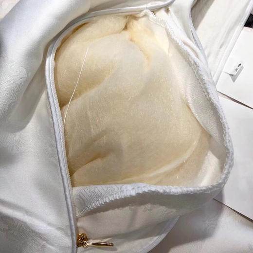 LSN23258大豆抗菌冬被 商品图2