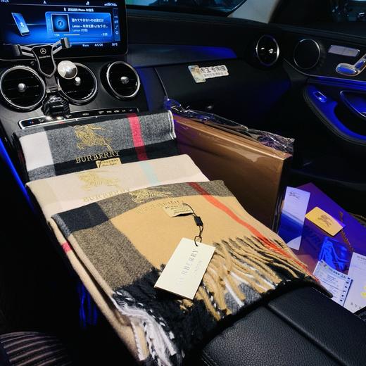 芭宝莉新款原单羊绒围巾 刺绣战马logo 商品图2