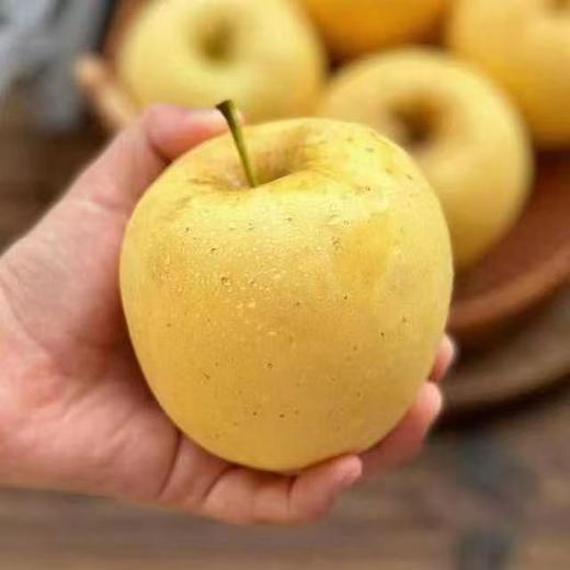 【精品水果】醉西子维纳斯第四代原株苹果 黄灿灿的果肉是大自然的甜蜜风物 商品图1
