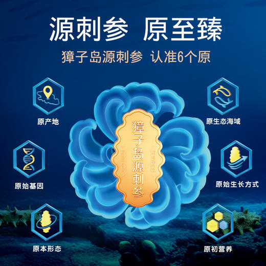 [獐子岛]畅享 淡干海参(100g-500g任选) 商品图4
