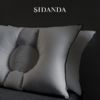 品牌直发 SIDANDA 女生专用护颈低睡枕 48cmx74cm 白色（含真丝枕套） 商品缩略图3