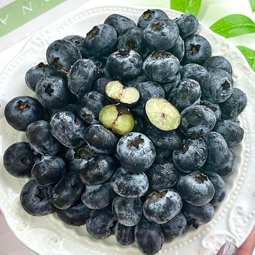 云南蓝莓来啦【L25花香蓝莓】💙酸甜浓郁，完全不寡淡！果味十足一点不比外国差🫐个大饱满，清甜多汁，隔着屏幕都已经咽口水💥 商品图1