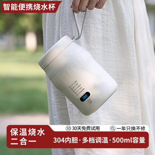 【智能！保温烧水二合一水杯】便携式电热杯 多功能暖奶器 旅行水壶家用保温烧水杯 办公室电热水杯 商品图1