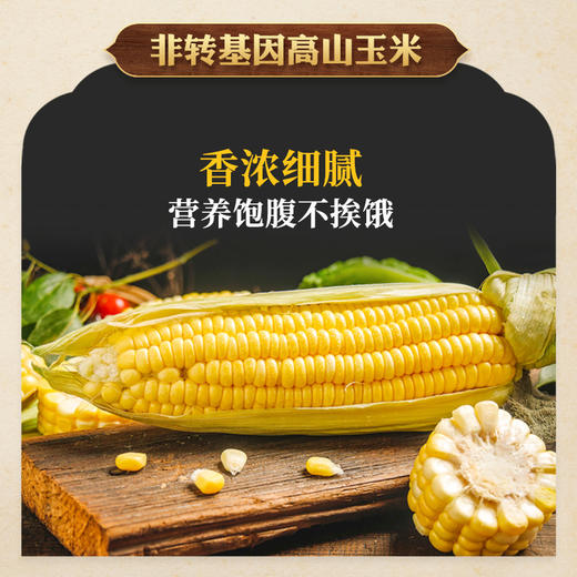 南方黑芝麻高山玉米糊原味/无添加蔗糖600g营养粗杂粮速食早餐饱腹代餐 商品图1