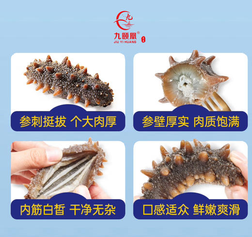 【分销】九颐凰即食海参（Q弹款），选用7年以上辽刺参，个头大、品相好、营养更丰富 商品图3