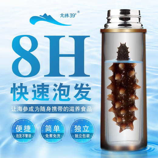 [獐子岛]北纬39°速发海参(20只装/30只装) 商品图5