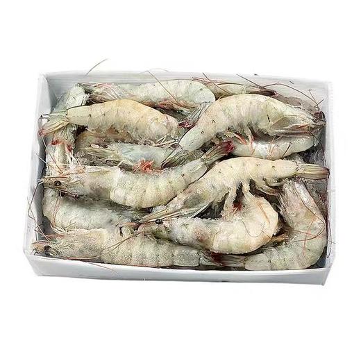 小船海虾约2.7斤/箱 商品图3