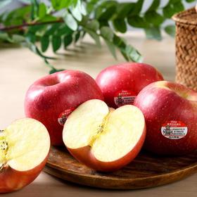 放心洛川苹果2粒/盒