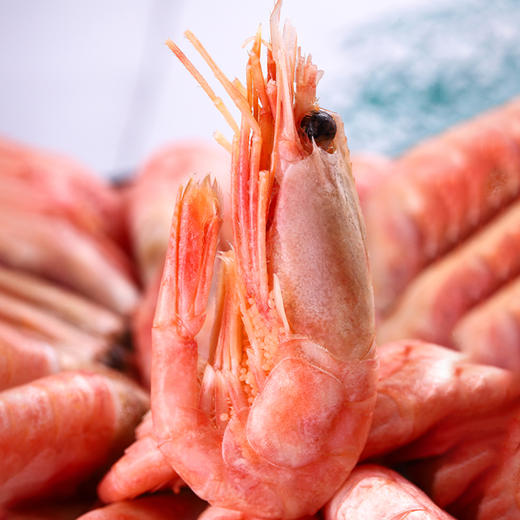 海朴北极甜虾 1.5kg/盒(90-120头腹籽) 商品图0