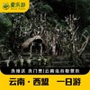云南·西盟龙摩爷圣地一日游，云南虫谷取景地，闯入佤族神隐之地 | 勐梭龙潭+木依吉神谷（景迈山地区上门接送） 商品缩略图0
