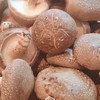 鲜香菇  福建佳美农场生态种植当季新鲜采摘【顺丰快递】 商品缩略图1