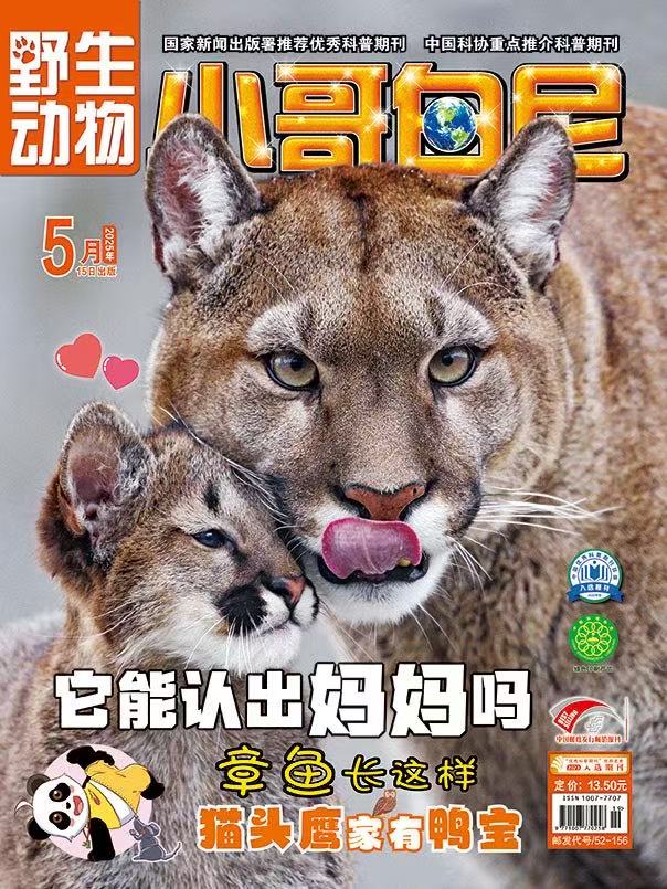 《小哥白尼.野生动物》| 52-156 | 月刊 | 2026年全年订阅（不可退订）