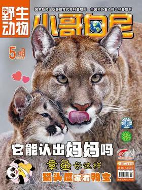 《小哥白尼.野生动物》| 52-156 | 月刊 | 2026年全年订阅（不可退订）