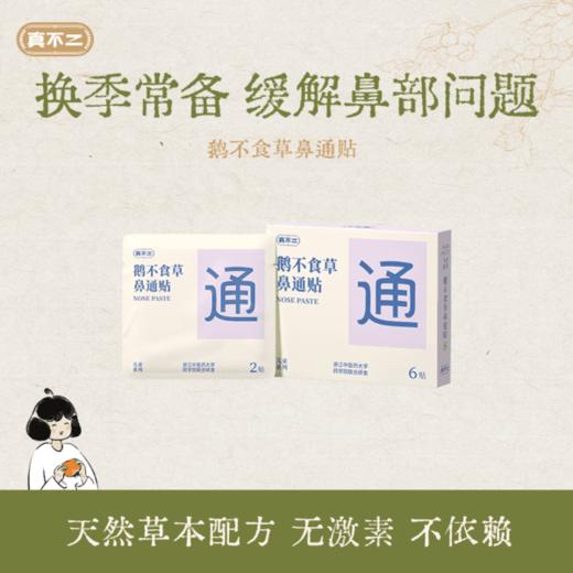 [屁侠推荐]真不二儿童成人穴位压力刺激贴止咳型/鹅不食草鼻通贴3盒/5盒 1岁+使用 商品图5