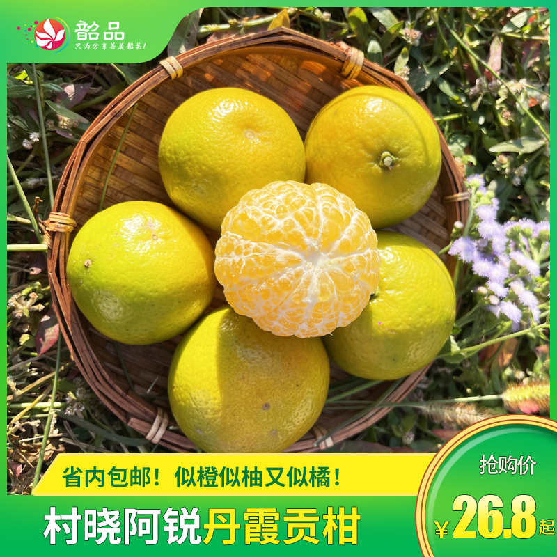 现摘现发【丹霞贡柑｜基地直采】柑中帝皇-皮薄多汁，果肉脆甜！—悠远历史的天然美味！似橙似柚又似橘！省内包邮！