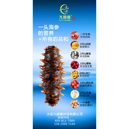 【分销】九颐凰鲜食海参（鲜嫩款），选用5年左右辽宁底播成年海参，个头大、品相好 商品图2