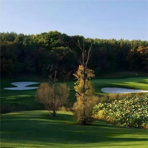 吉林长春·净月潭森林高尔夫俱乐部 Jilin Jingyuetan Forest Golf Club  | 长春高尔夫球场 | 吉林高尔夫球场 | 中国 商品图0