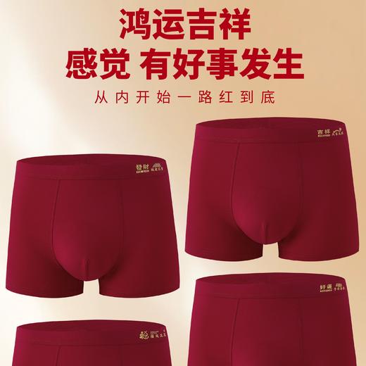 男士皮马棉安可拉红包头平角内裤本命年四角裤5584 商品图0