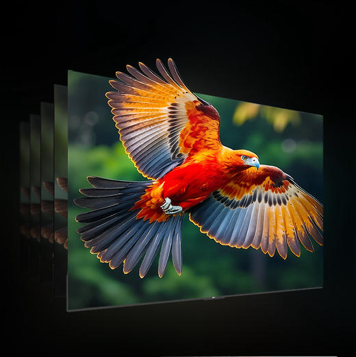 海尔（Haier）电视 75A36C 商品图7