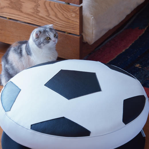 HOME TRAMPOLINE 日本 MIRAI PLUS家用蹦床【家庭弹跳床】 商品图9