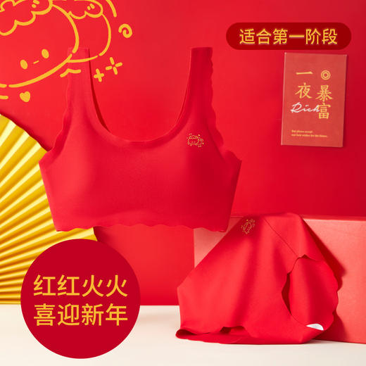 一阶段中小童~2026年马年少女发育期文胸儿童背心 小学8-13岁女孩女童内衣本命年背心式文胸  内裤 商品图1