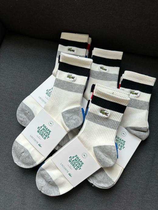 日本限定3双装🐊刺绣宽条中筒袜 材质:80%精梳棉20%氨纶，卡纸包装 商品图7