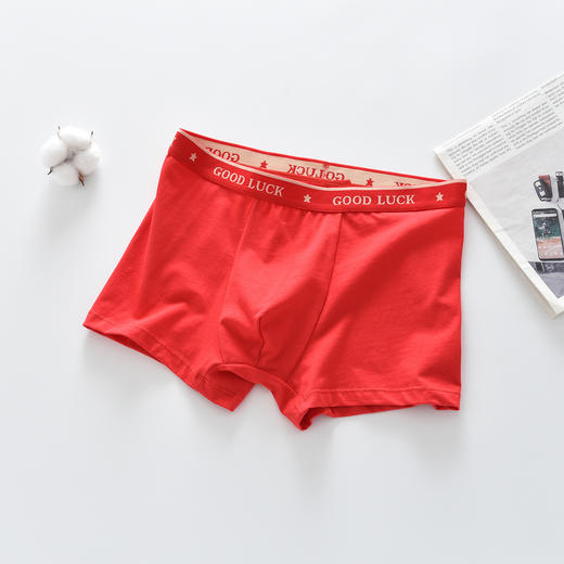 三条装！中大童新年本命年儿童内裤棉男童内裤大童男孩儿童宝宝平角裤高中生青少年 商品图4