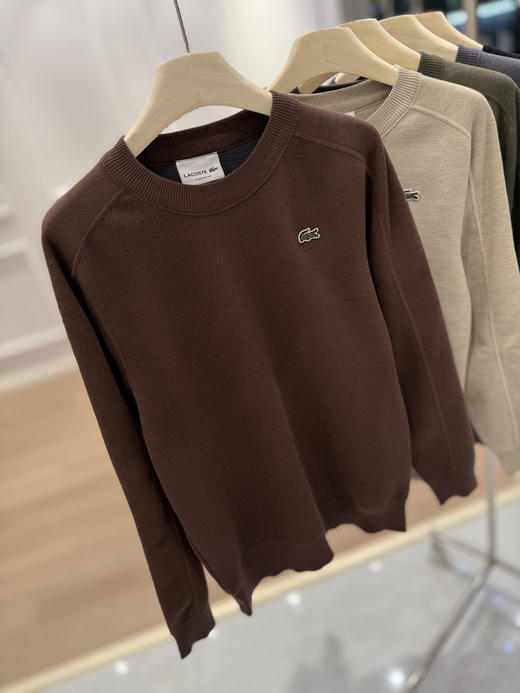 鳄鱼男士针织毛衫加绒卫衣 商品图10