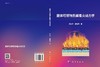 固体可燃物热解着火动力学 商品缩略图3