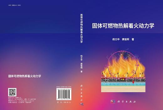 固体可燃物热解着火动力学 商品图3