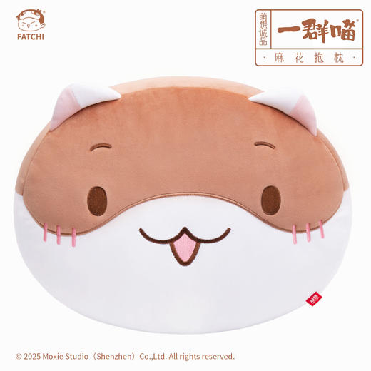 一群喵-麻花抱枕 商品图4