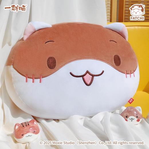 一群喵-麻花抱枕 商品图1