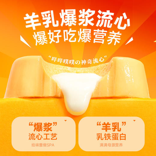 【新品】布兰德全价主食餐盒芯意满满系列 柿柿如意三文鱼味100g（犬猫通用） 商品图2