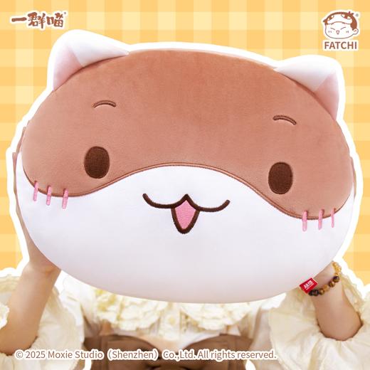 一群喵-麻花抱枕 商品图2