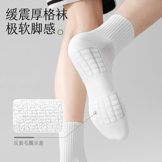 拾袜记丨毛巾底运动袜4双装【38-44码可穿】 商品图2
