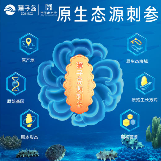 [獐子岛]黑盒有机淡干海参(50g/盒、120g/盒、258g/盒) 商品图4