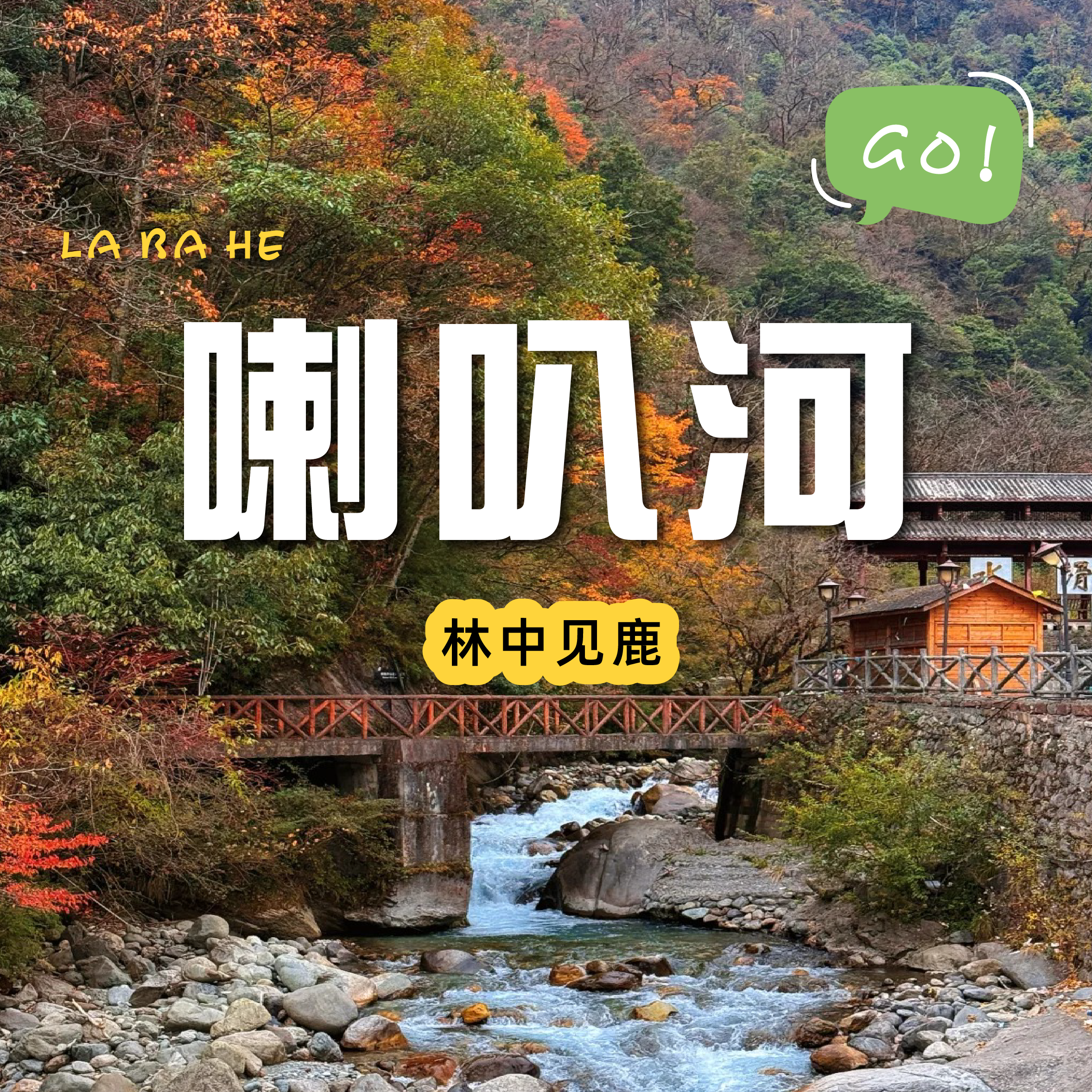 【喇叭河一日往返直通车】走山里清凉一夏，林中见鹿🦌