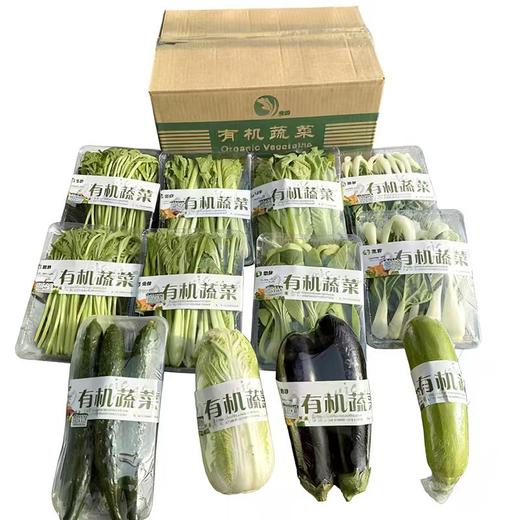 宝野有机蔬菜礼盒(5斤/盒) 商品图1