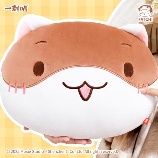 【抱枕全家福】如果历史是一群喵肥志官方周边毛绒靠垫头枕背枕 商品图13