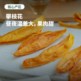 【只有芒果】天然酸甜 果香浓郁 | 无添加切片烘烤四川攀枝花芒果干 果干零食 200克/袋 2袋/4袋装