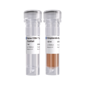 Mouse Naive CD8+ T Cell Isolation Kit