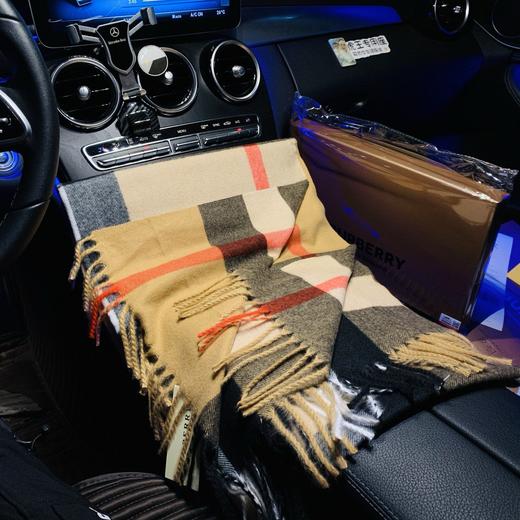 芭宝莉新款原单羊绒围巾 刺绣战马logo 商品图3