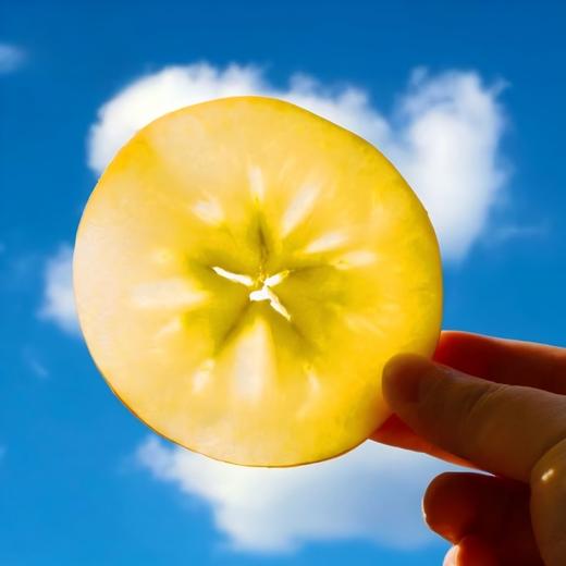 阿克苏冰糖心苹果2.5kg 商品图0