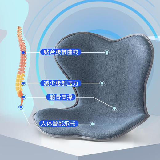 inzzi普拉提护腰塑形坐垫 S6 商品图2