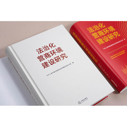 法治化营商环境建设研究 中共上海市委全面依法治市委员会办公室编 法律出版社 商品图2