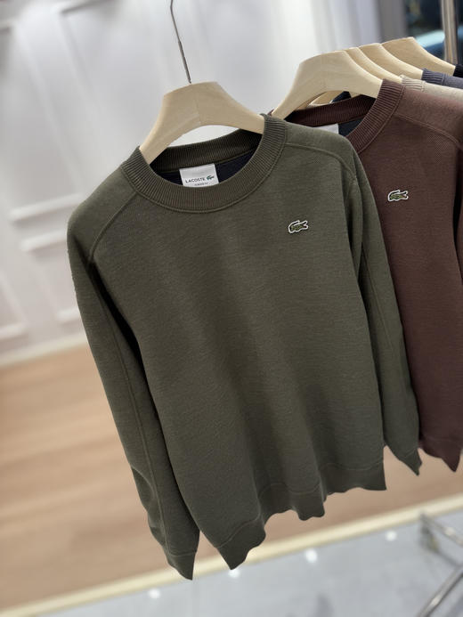 鳄鱼男士针织毛衫加绒卫衣 商品图9