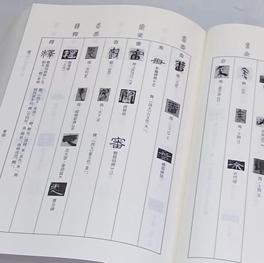 《汉代隶书异体字表》，16开精装，于淼 编著，中西书局，2021年12月一版一印，定价：660，售价：198 。 商品图5